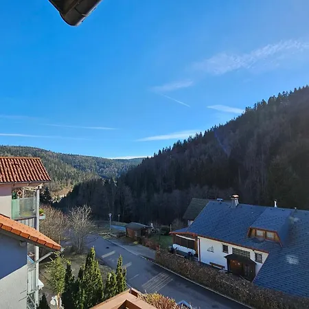 Ferienwohnung Traumblick Mit Balkon In Todtmoos
